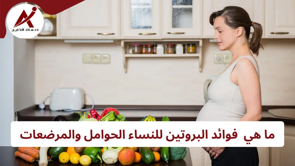 11 من فوائد البروتين للحامل والمرضعة