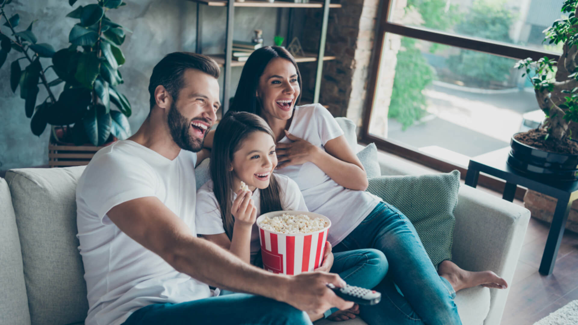 من أين تشتري اشتراك فالكون الأصلي؟ دليل الشراء الآمن والموثوق