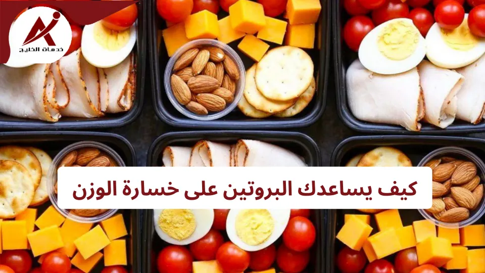 ما هي فوائد البروتين لخسارة الوزن؟ تناول بروتين أكثر لخسارة الوزن