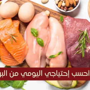 حاسبة البروتين: كيف أعرف إحتياجي اليومي من البروتين؟