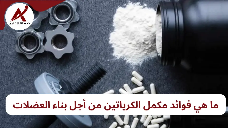 ما هو مكمل الكرياتين؟ فوائده الأضرار الجانبية